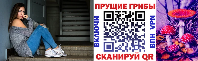 Галлюциногенные грибы мицелий  ссылка на мегу ONION  Ахтубинск 