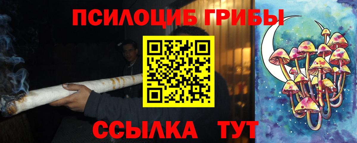 дарнет шоп  Галлюциногенные грибы MAGIC MUSHROOMS  Вход с VPN  Ахтубинск 
